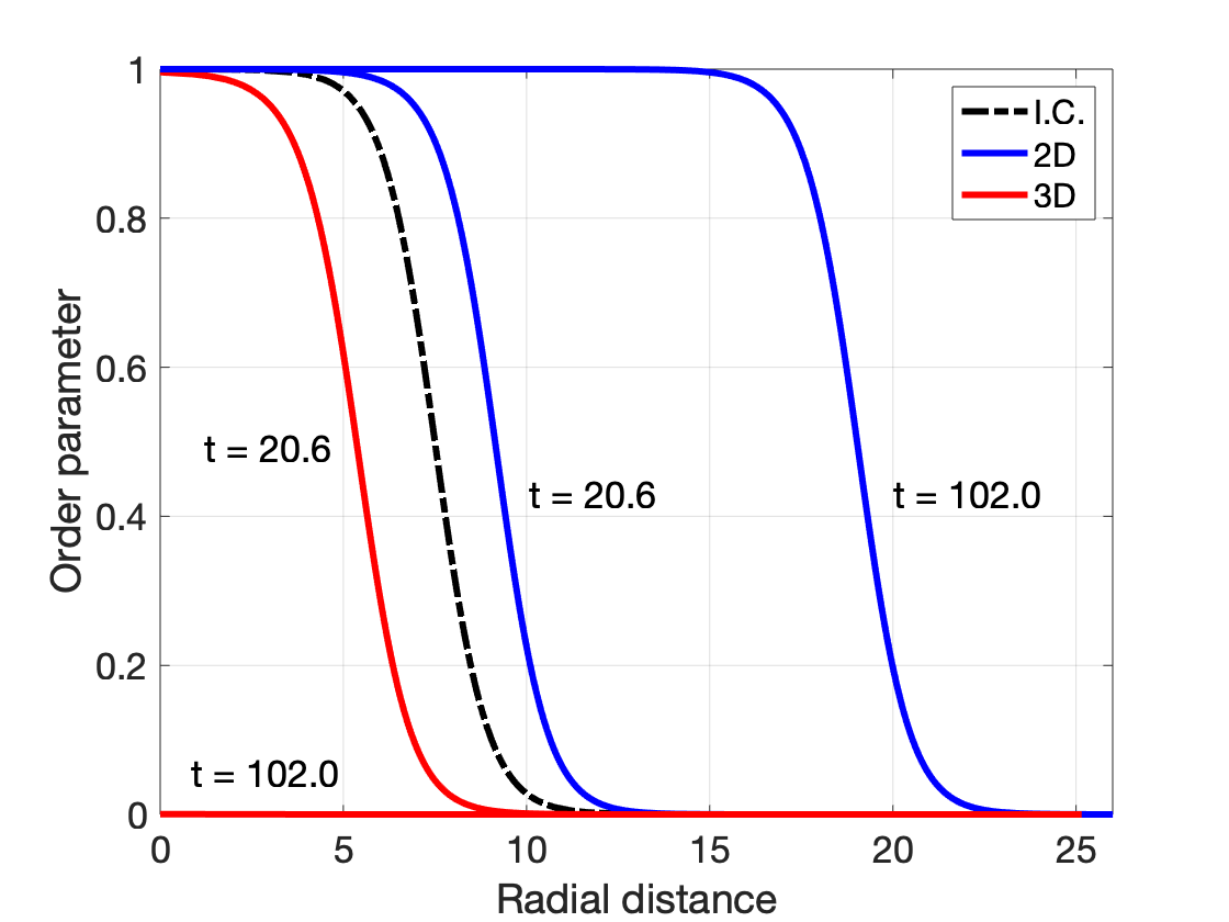 Order Parameter v. Radial Distance